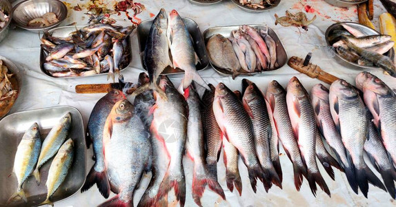 印度鱼市销售鱼类图片