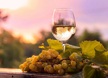一杯白葡萄酒和葡萄在葡萄园的旧木图片