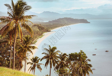 菲律宾Palawan菲律宾节假日宁静美丽的热带自然图片