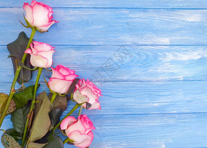 木制背景上的玫瑰花框图片