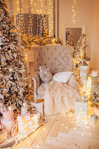 在豪华的圣诞客房里温暖舒适的夜晚图片