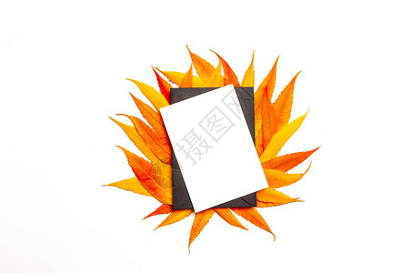 秋季黄叶和红叶背景的黑信封中的假白信或明图片