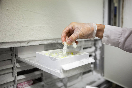 科学操纵实验室中的冷冻试验图片
