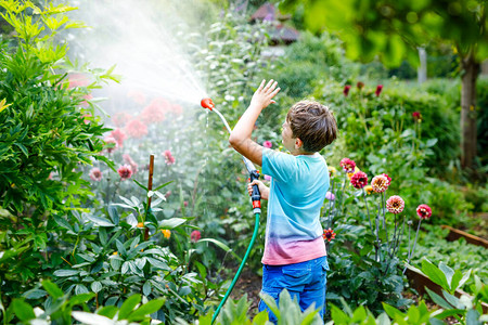 美丽的小学生男孩在夏日用水管浇花快乐的孩子在家庭花园里帮忙图片