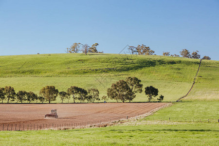 马尔登和卡斯尔梅因附近的农场和园丁在澳洲维多利亚金矿的阳图片