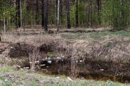 天然污染西伯利亚森林内水库的垃圾瓶和塑料瓶漂浮在水图片