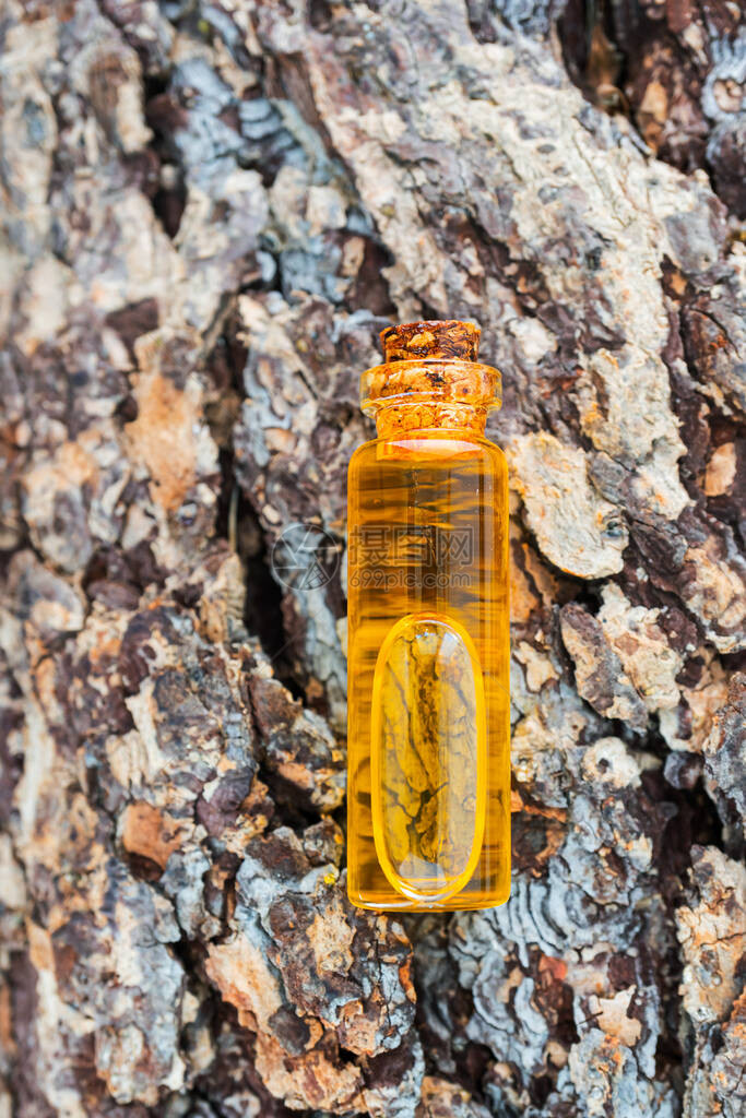 一瓶天然精油躺在树皮上图片
