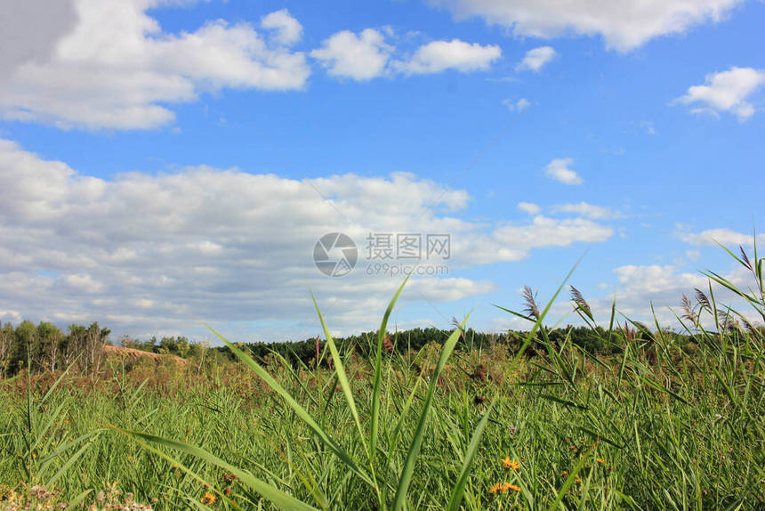 夏日风景绿草如茵蓝天多云自然背景图片