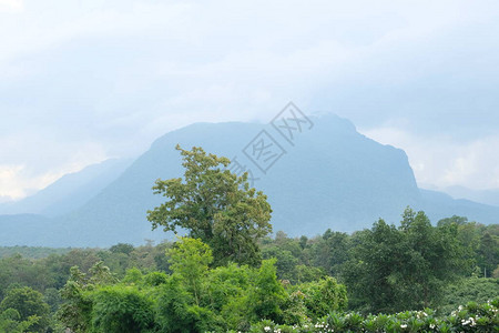 美丽的山景和风景壁纸背景图片