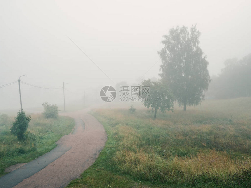 雾蒙的夏村路柔和的焦点图片