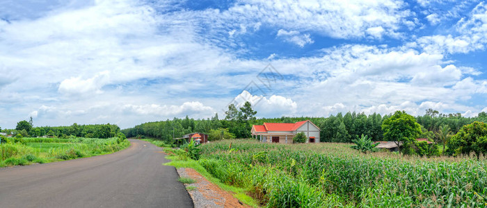 玄武岩土壤高地的农村郊区景观图片