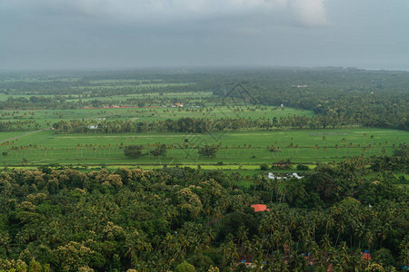 印度果阿Cansaulim三王教堂下方一片平淡的绿色景图片