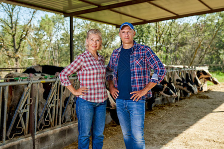 农村场的男女农民家庭农场有奶牛图片