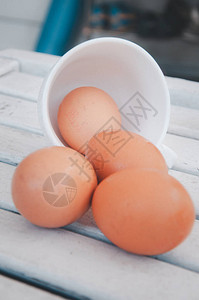 鸡棕色鸡蛋鸡蛋白是一种可以被有效吸收的蛋白图片