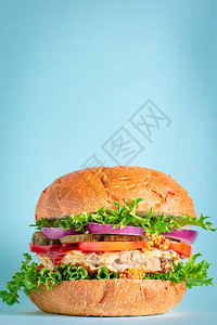 汉堡肉美味烤肉饼三明治和蔬菜份量有机健康食物部分顶视图图片
