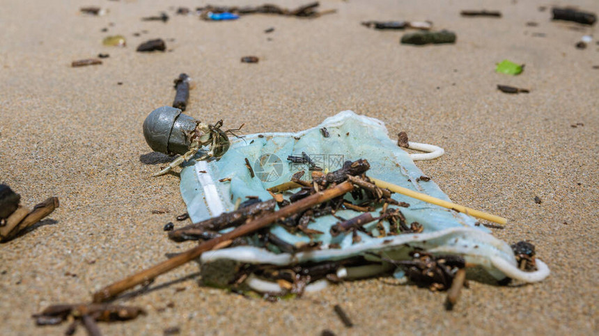 带有管状塑料的寄居蟹在用过的医用口罩垃圾附近行走不良后果污染或污染自然海洋环境和海岸污染C图片