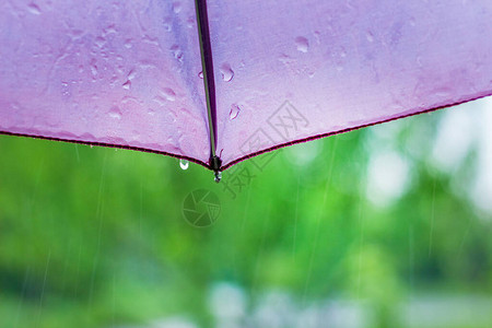 一只雨伞雨滴在模糊图片