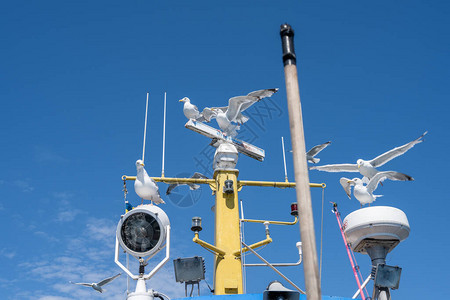一只渔船上的海鸥蓝天空图片