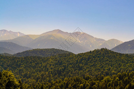 俄罗斯Adygea地区高加索山脉脚下山区森林景观图片