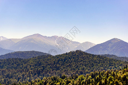 俄罗斯Adygea地区高加索山脉脚下山区森林景观图片