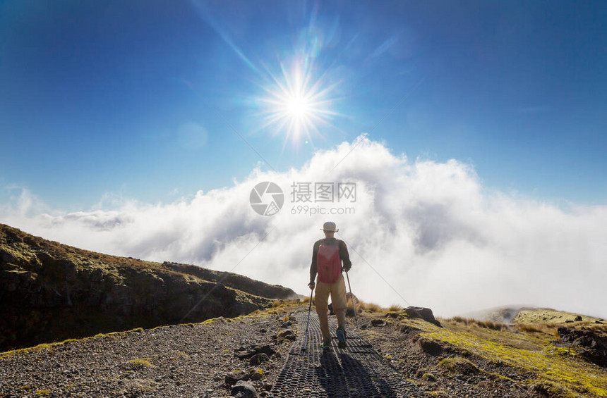 后包装工在夏季图片