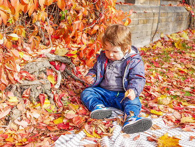小孩坐在红色树叶上图片
