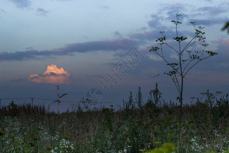 夏日在田野的夜晚风景中天空图片