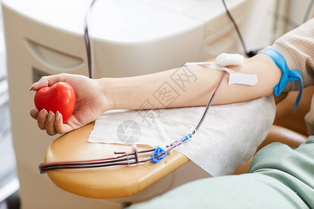 血液捐献者导管和石膏含着玩具心脏并背景图片