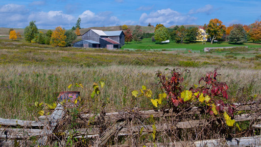 秋天农村场的风景图片