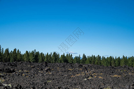 NewberryVolcano纪念碑火山岩浆流边缘生长的松树负空图片