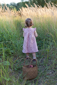 麦田路上的一个小女孩图片