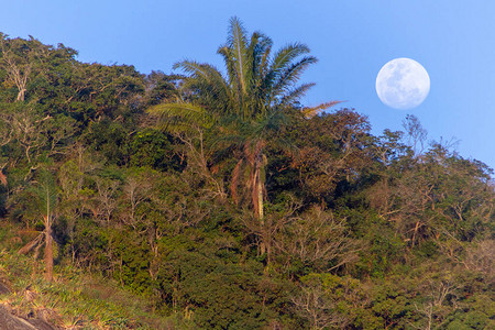 里约热内卢掌舵岩上的月亮背景图片