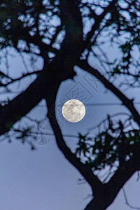 满月巴西里约热内卢科帕卡巴纳背景图片