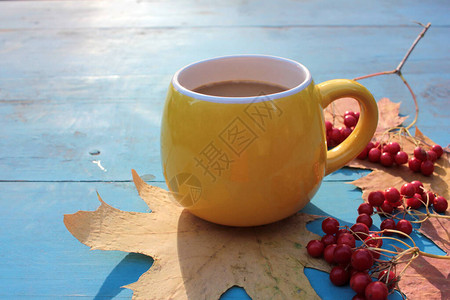 黄色咖啡红莓和秋叶图片
