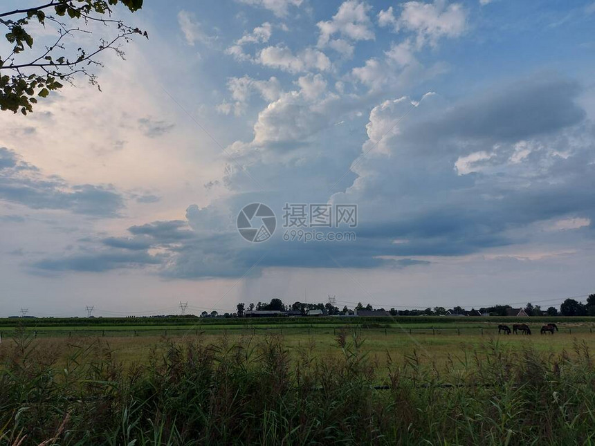 乌德布罗克草原上有阳光和图片