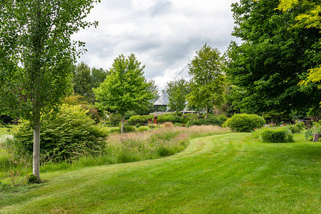在格罗宁根哈克斯泰德村附近这个设计精美的花园里图片