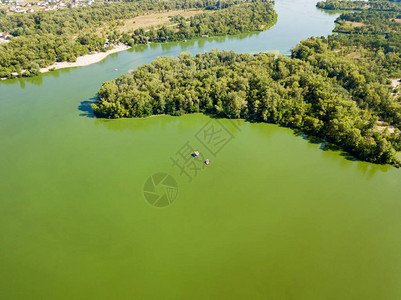 鸟瞰图第聂伯河岸河水碧绿的水中绽放着藻类图片