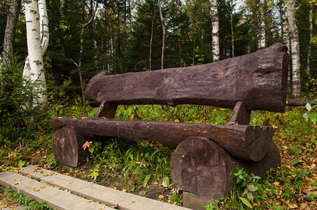 秋天公园里的原木长凳图片