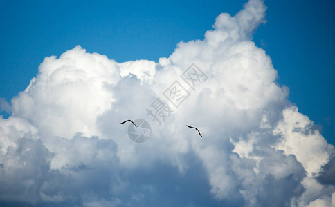 两只风筝在蓝色的天空中飞图片