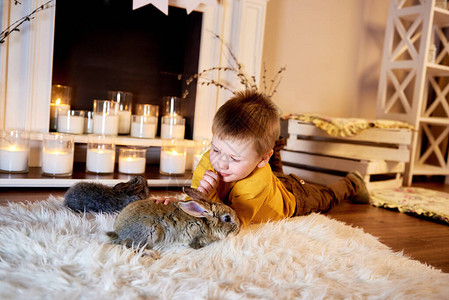 小男孩在家和兔子一起享受快乐可爱男孩喜欢在温暖的灯图片