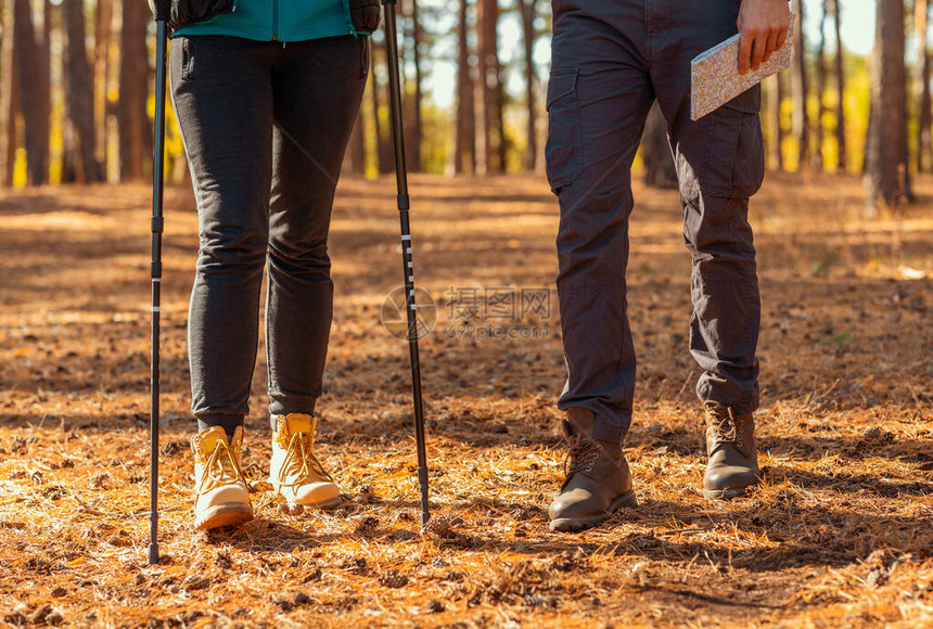两个徒步男女的双腿在森林中行走女孩使图片