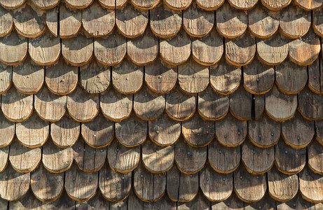 许多木棍的背景天然木柴背景图片