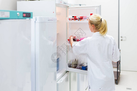 将化学溶液储存在冷藏柜中的女研究员不同类型的化学溶液储存在生命科学实验背景