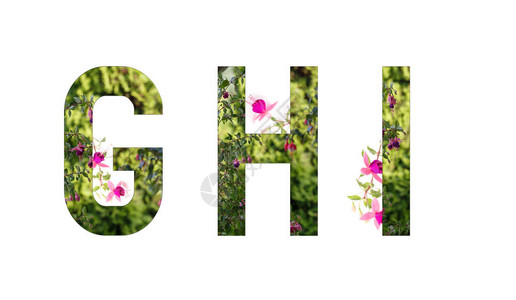 花卉字母紫红色字母GHI花卉祝贺题图片