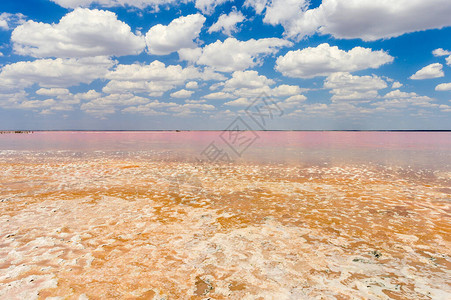 克里米亚咸粉红湖图片