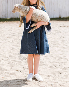 穿着蓝礼服的小女孩抱着羊图片