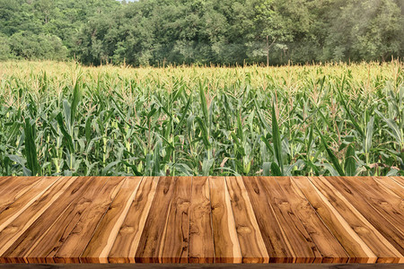 带玉米农场的空木板空间平台图片