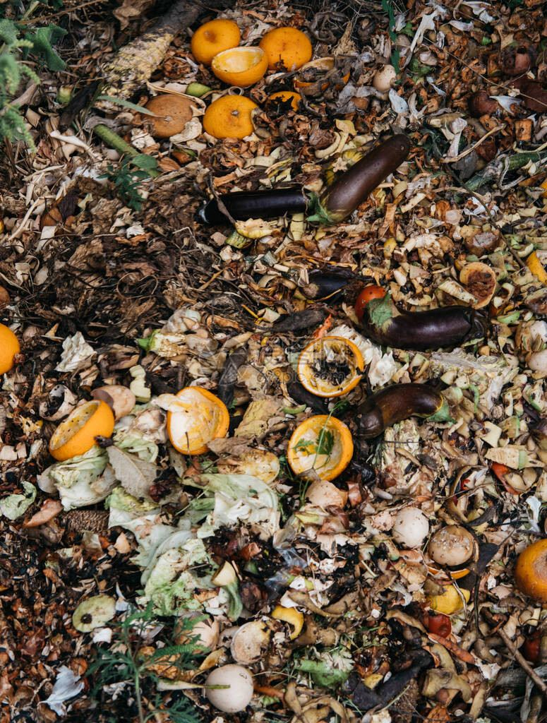 用于在花园中堆肥水果和蔬菜的家庭垃圾五颜六色的堆肥和垃圾坑与腐烂的彩色蔬菜和水果花园里的农业图片