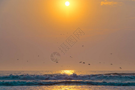 日落在海面和飞鸟上美丽的风景图片