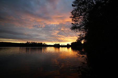 日落在森林湖上水中图片